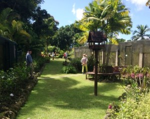 2016 Barb Orchid Garden