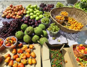 2016 Bra Salv Fruit Cashew Nuts Low Left