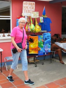 20161 DR Tachy Hair Braidin