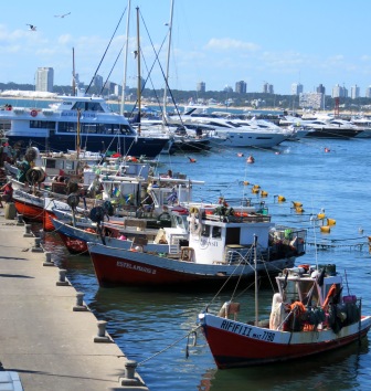 2016 URU PE Fishing &amp; Luxury boats