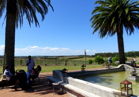 2016 URU PE Narbona Vineyard View