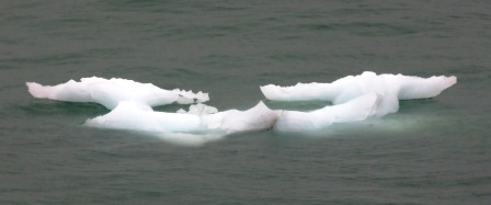 A Amalia Glacier 3 Floating iceberg