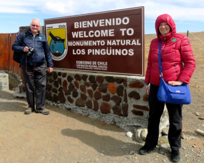 A Punta Arenas Penguin DN