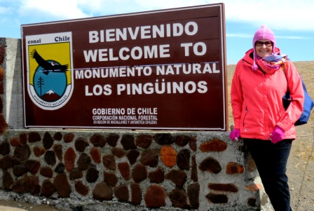 A Punta Arenas Penguin T