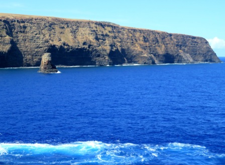 A06 Easter Island Pioke Rugged