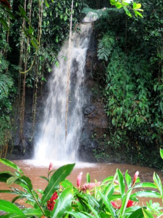 0226 Tahiti Vaipahi Gardens 1