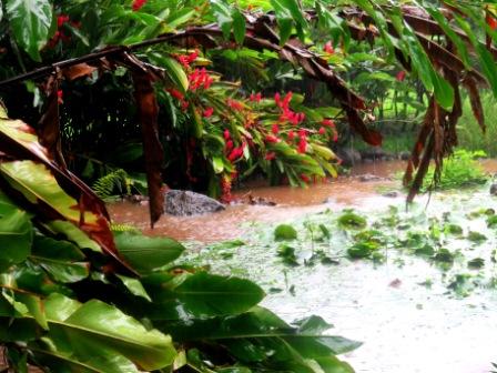 0226 Tahiti Vaipahi Gardens 2