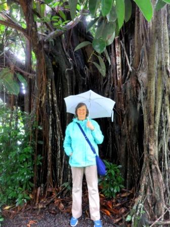 0226 Tahiti Vaipahi Gardens 5 D