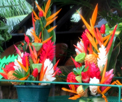 0226 Tahiti Vaipahi Gardens 9 Flowers