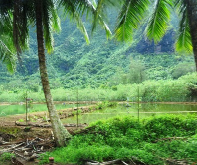 08 20160227 Moorea Shrimp Farm