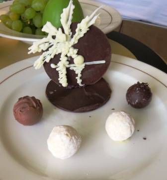 47 201602 Chocolat Palm Tree