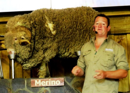 A Auk Agrodome Marino