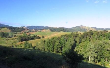 A Auk Countryside to Rotorua