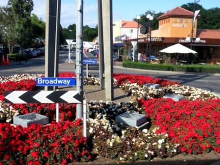A Auk Matamata Flowers Broadway