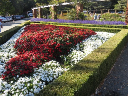 A Wel Rose Gdn Entry