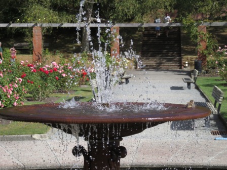 A Wel Rose Gdn Fountain