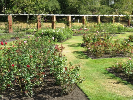 A Wel Rose Gdn Overview
