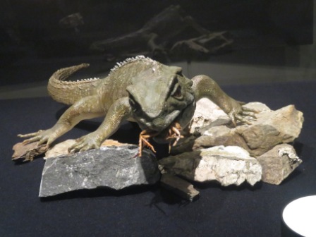 A Wel TePapa 5 Tuatara