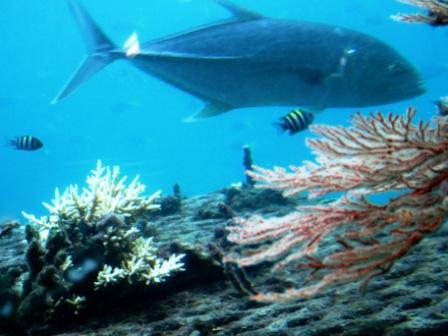 A06 GBR 0316 Under Pont 2