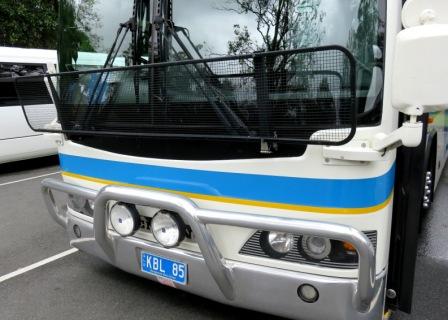 A19 Bris 0313 Bus Kangaroo Protector