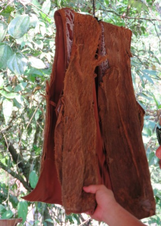 A25 0322 KK MM Bark Vest 2