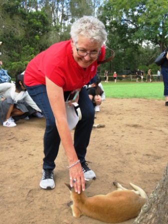 A26 Bris 0313 LPKS Kangaroo T