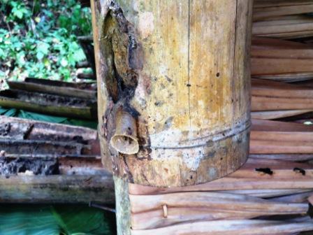 A30 0322 KK MM Bee 1 enter bamboo hive