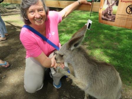 A30 Bris 0313 LPKS Kangaroo Feed D