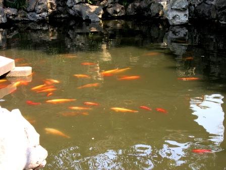 A48 0326 Shang Yu Garden 13