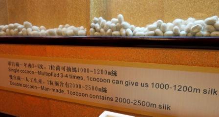 A49 0326 Shang Silk 1 Cocoons