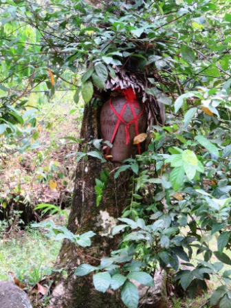 A53 0322 KK MM Royal Burial in Tree