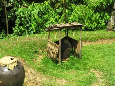 A57 0322 KK MM Alligator headhunter 3