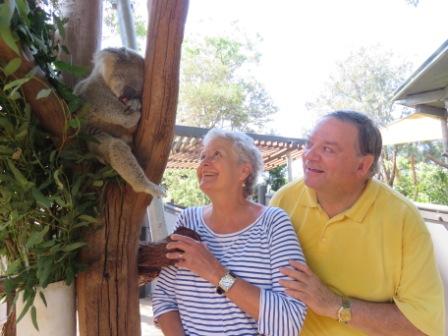 A58 SYD 0310 Zoo Koala TR