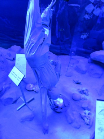 A109 Dubai Museum 06