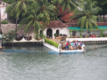 A19 Kochin Dutch Pal 01