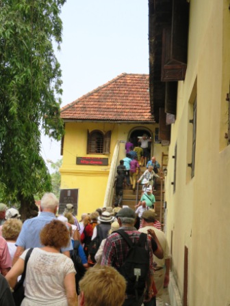 A21 Kochin Dutch Pal 02