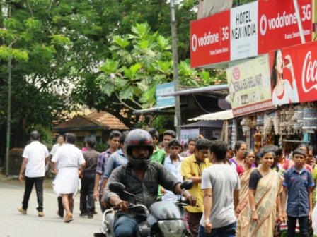 A23 Kochin Dutch Pal 06