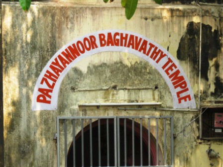 A24 Kochin Dutch Pal 03