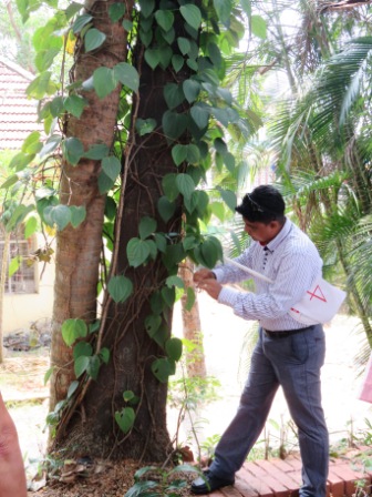 A28 Kochin Indo Port Mus 03