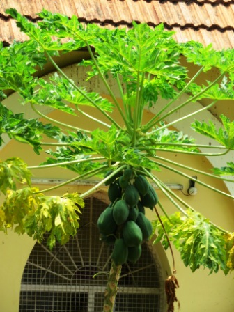 A30 Kochin Indo Port Mus 04