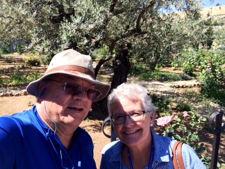 A005 Israel Gethsemane 01b