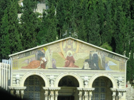 A008 Israel Gethsemane 04