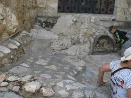 A020 Israel Gethsemane 14