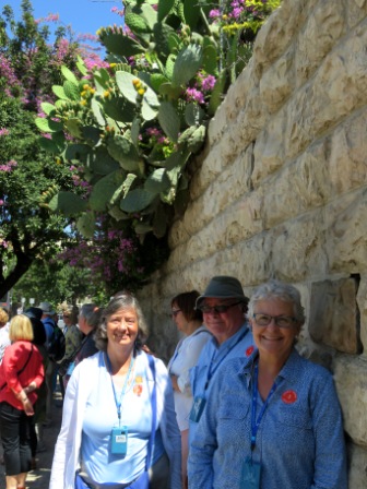 A021 Israel Gethsemane 15