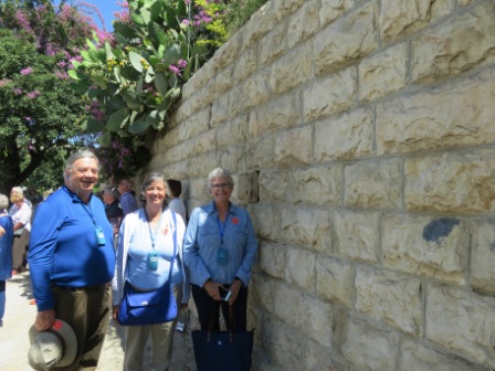 A022 Israel Gethsemane 16